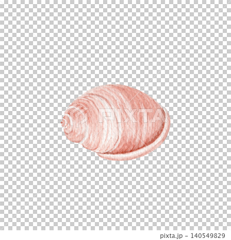 Watercolor spiral seashell illustration isolated on white. Hand painted pink marine shell, soft pastel tones. Coastal element for beach decor, summer stationery, wedding invitations, nautical designs Watercolor spiral seashell illustration isolated on white. Hand painted pink marine shell, soft pastel tones. Coastal element for beach decor, summer stationery, wedding invitations, nautical designs 140549829