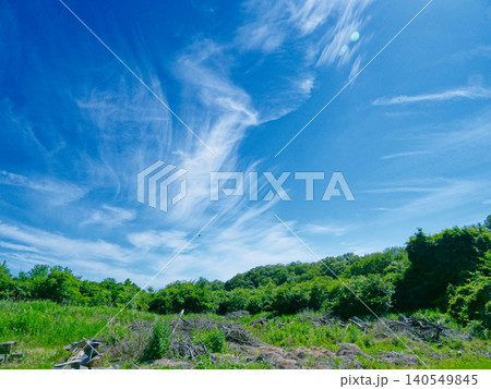 初夏の青空 森林公園 初夏の青空 森林公園 140549845