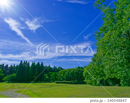 初夏の青空  森林公園 140549847