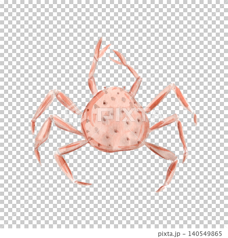 Spotted coastal crab watercolor illustration natural details, hand-painted texture. Seaside clipart isolated on white background, ideal for beach collections, patterns, nursery decor, coastal designs Spotted coastal crab watercolor illustration natural details, hand-painted texture. Seaside clipart isolated on white background, ideal for beach collections, patterns, nursery decor, coastal designs 140549865
