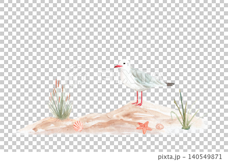 Standing seagull on sandy coastal dunes with beach grass, starfish, hand-painted watercolor illustration. Coastal clipart isolated on white for nursery decor, stationery, summer designs. Soft seaside 140549871