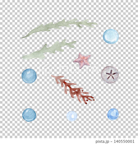 Watercolor coastal elements isolated on white background. Hand painted seaweed, coral, starfish, bubbles and sand dollar in soft pastel tones for beach decor, marine branding and seaside summer design 140550001