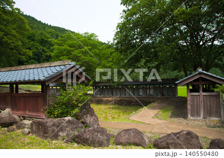 一乗谷、新緑の西山光照寺跡 140550480