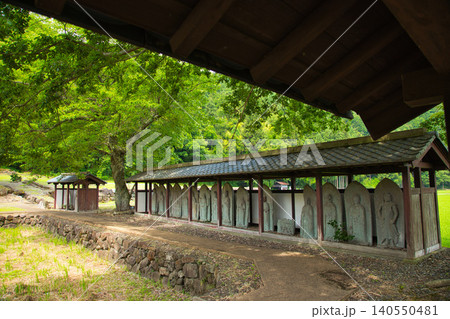 一乗谷、新緑の西山光照寺跡 140550481
