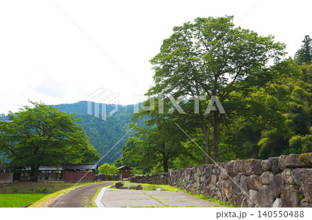 一乗谷、新緑の西山光照寺跡 140550488