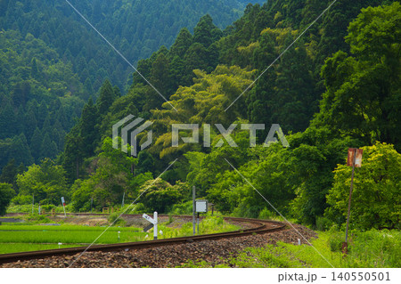 一乗谷、新緑の西山光照寺跡 一乗谷、新緑の西山光照寺跡 140550501