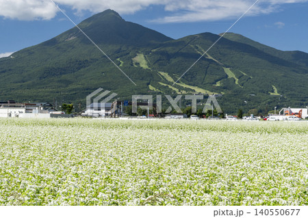 蕎麦の花咲く磐梯山 2 蕎麦の花咲く磐梯山 2 140550677