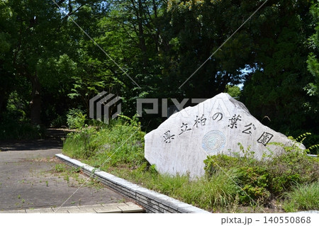 柏の葉公園 柏の葉公園 140550868
