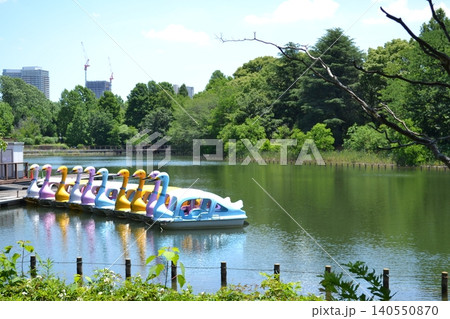 柏の葉公園 柏の葉公園 140550870