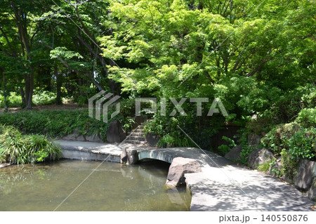 柏の葉公園 140550876