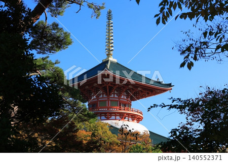 成田山新勝寺の境内 成田山新勝寺の境内 140552371