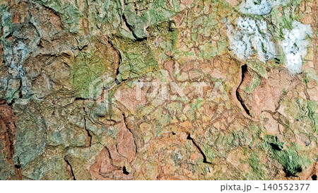 close up view of tree bark, for background close up view of tree bark, for background 140552377