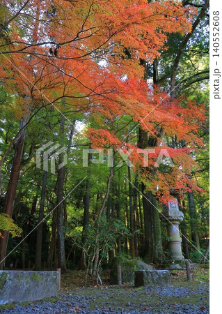 鮮やかな紅葉 鮮やかな紅葉 140552608