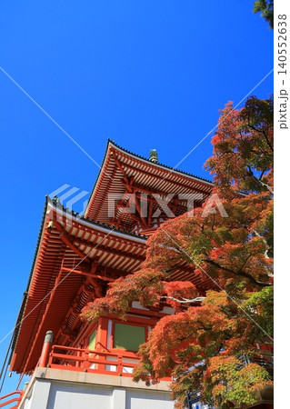 鮮やかな紅葉 鮮やかな紅葉 140552638