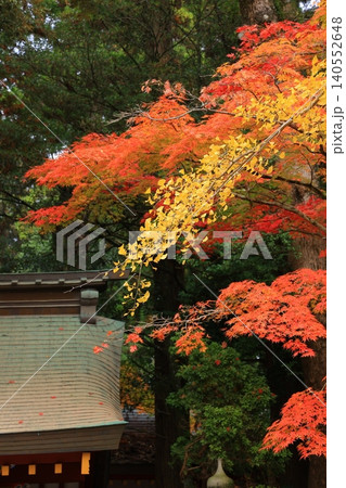 鮮やかな紅葉 鮮やかな紅葉 140552648