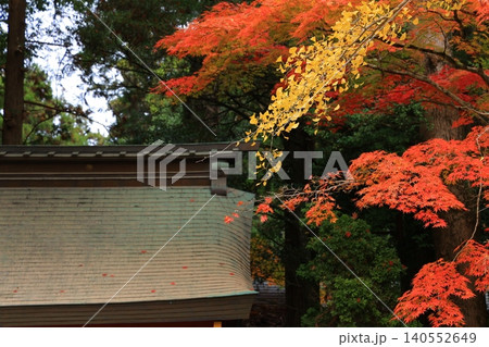鮮やかな紅葉 鮮やかな紅葉 140552649