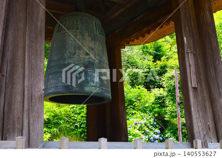 鎌倉の建長寺の梵鐘と紫陽花の風景 140553627