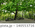 Park rest area with benches under green trees 140553716
