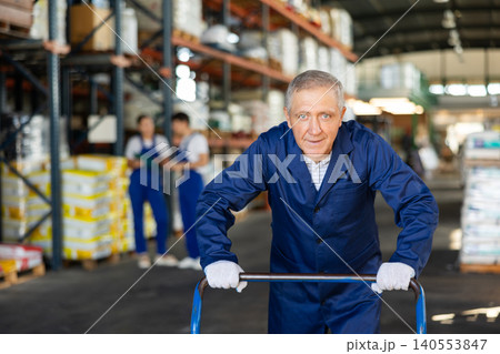 In warehouse rack area of store, loader mature man pushes and carries large cart for bulky cargo 140553847