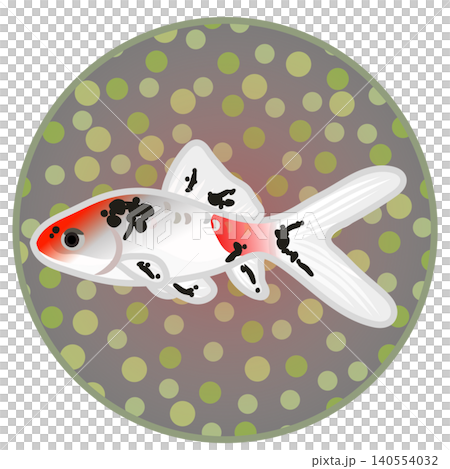 円形背景のついた金魚のイラスト 140554032