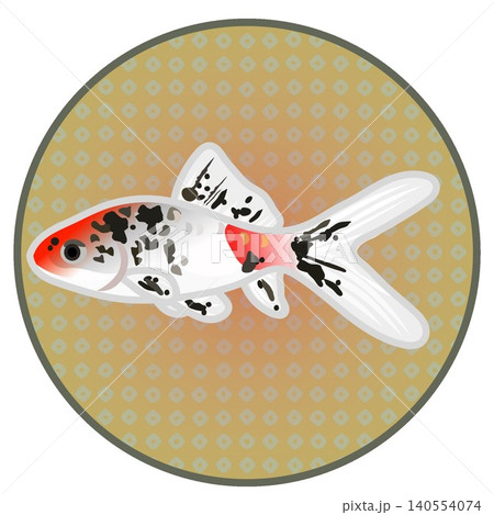 円形背景のついた金魚のイラスト 円形背景のついた金魚のイラスト 140554074