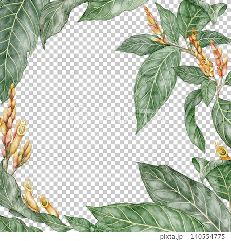 Sanchezia plant square frame with copy space. Hand drawn watercolor background with greenery and flower in botanical style. Exotic floral natural design for garden card or botanical art template Sanchezia plant square frame with copy space. Hand drawn watercolor background with greenery and flower in botanical style. Exotic floral natural design for garden card or botanical art template 140554775