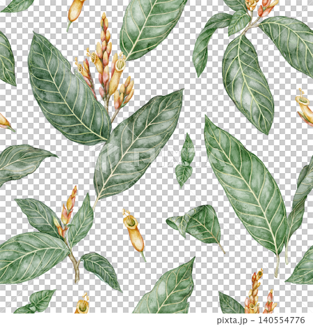 Seamless pattern of tropical Sanchezia plant. Hand drawn watercolor illustration with green leaves branch and flower in botanical style. Decorative background design for summer wallpaper or textile Seamless pattern of tropical Sanchezia plant. Hand drawn watercolor illustration with green leaves branch and flower in botanical style. Decorative background design for summer wallpaper or textile 140554776