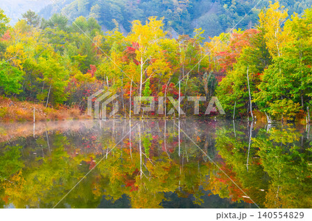 秋の早朝 紅葉美しい乗鞍高原・一ノ瀬園地まいめ池の水鏡リフレクションと朝もや無人風景 秋の早朝 紅葉美しい乗鞍高原・一ノ瀬園地まいめ池の水鏡リフレクションと朝もや無人風景 140554829