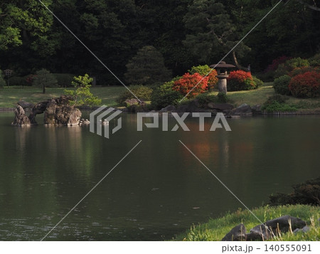 ツツジが咲く頃の六義園大泉水の風景 ツツジが咲く頃の六義園大泉水の風景 140555091