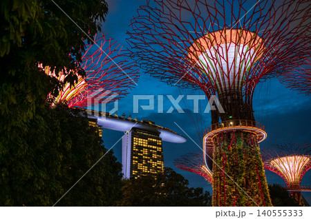 東南アジアシンガポールの夜景 東南アジアシンガポールの夜景 140555333