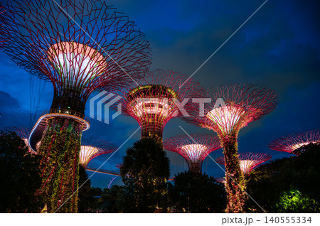 東南アジアシンガポールの夜景 140555334