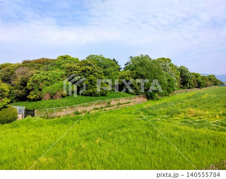 新緑の木々と一面に広がる鮮やかな草地（草原）の風景 140555784