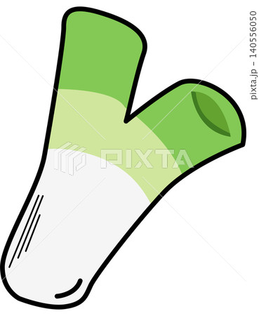 Cute flat Green Onion vector Illustration Cute flat Green Onion vector Illustration 140556050