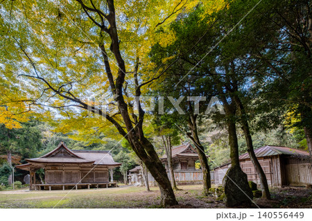 秋の鳥取東照宮（旧樗谿神社）社殿　鳥取県鳥取市上町 140556449