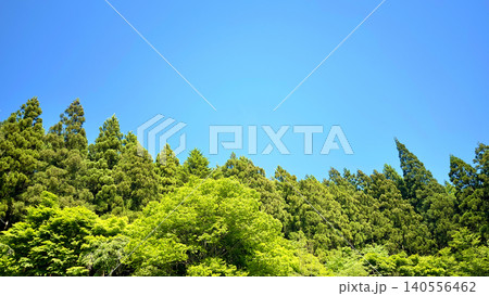 澄み渡る青空と一面に広がる鮮やかな新緑の木々 栃木県の初夏景観 140556462