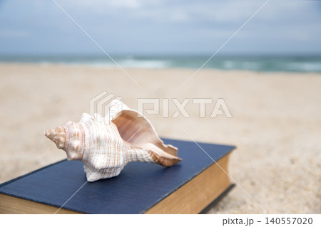 Enjoy reading and relaxing at the beach 140557020