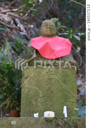 高尾山 景色 花 高尾山 景色 花 140557218