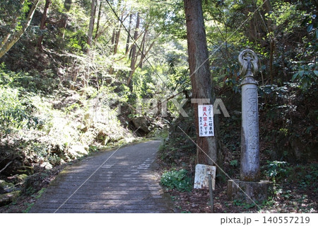 高尾山　景色　花 140557219