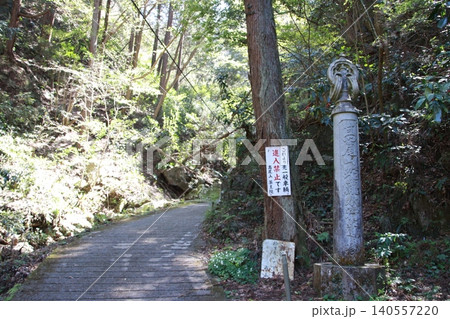 高尾山 景色 花 高尾山 景色 花 140557220