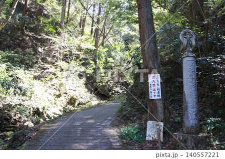 高尾山 景色 花 高尾山 景色 花 140557221