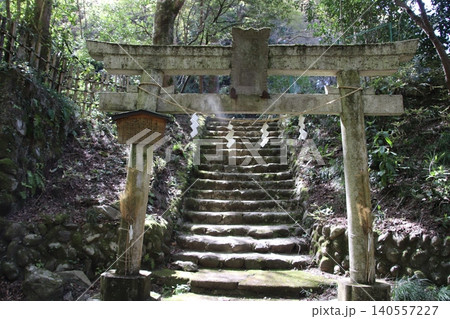 高尾山 景色 花 高尾山 景色 花 140557227