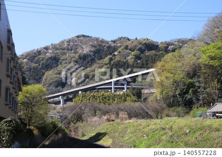 高尾山 景色 花 高尾山 景色 花 140557228