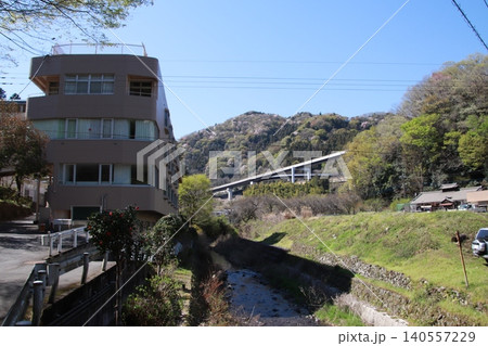高尾山　景色　花 140557229