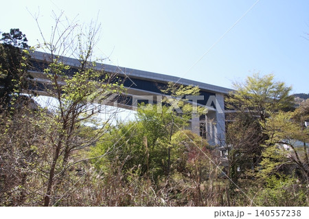 高尾山 景色 花 高尾山 景色 花 140557238