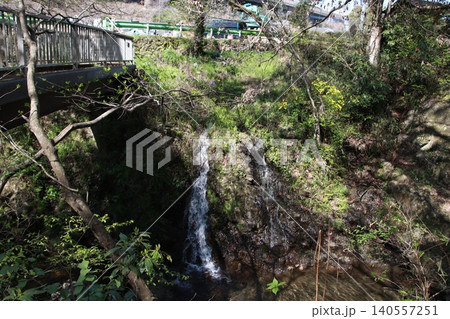 高尾山　景色　花 140557251