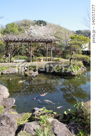 古い木造の建物 高尾駒木野庭園 古い木造の建物 高尾駒木野庭園 140557277
