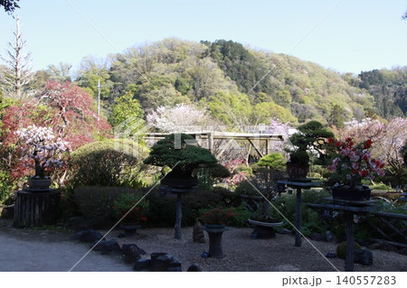 古い木造の建物　高尾駒木野庭園 140557283