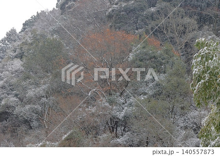 雪景色 雪景色 140557873
