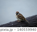 柵の上にとまるスズメ 140559940
