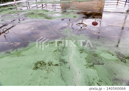 Old flat roof is ponding water and leakage after rain. Blistering flat roof. 140560066